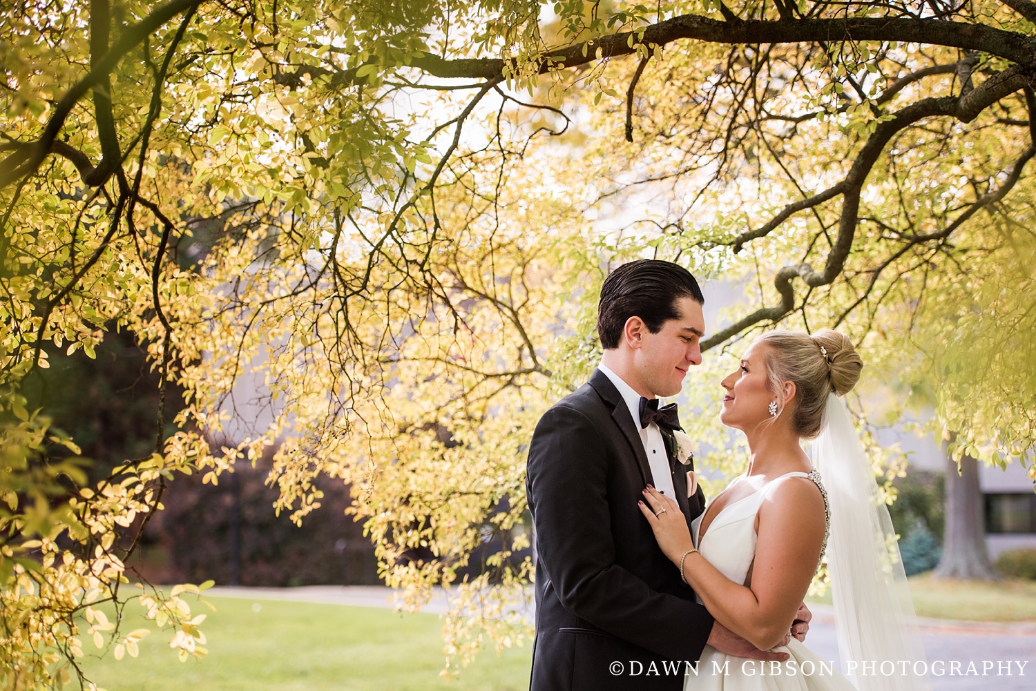Photos by Dawn M Gibson Photography