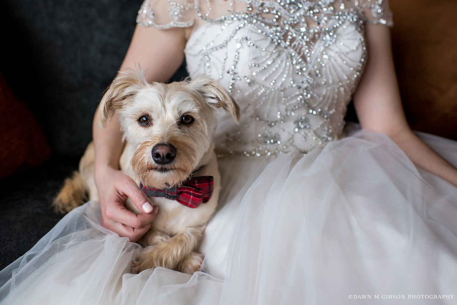 Jenessa and Clint's Wedding Day