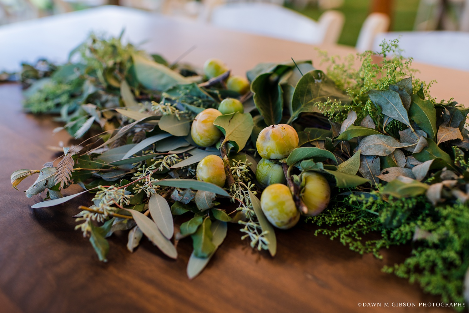 Photos by Dawn M Gibson Photography