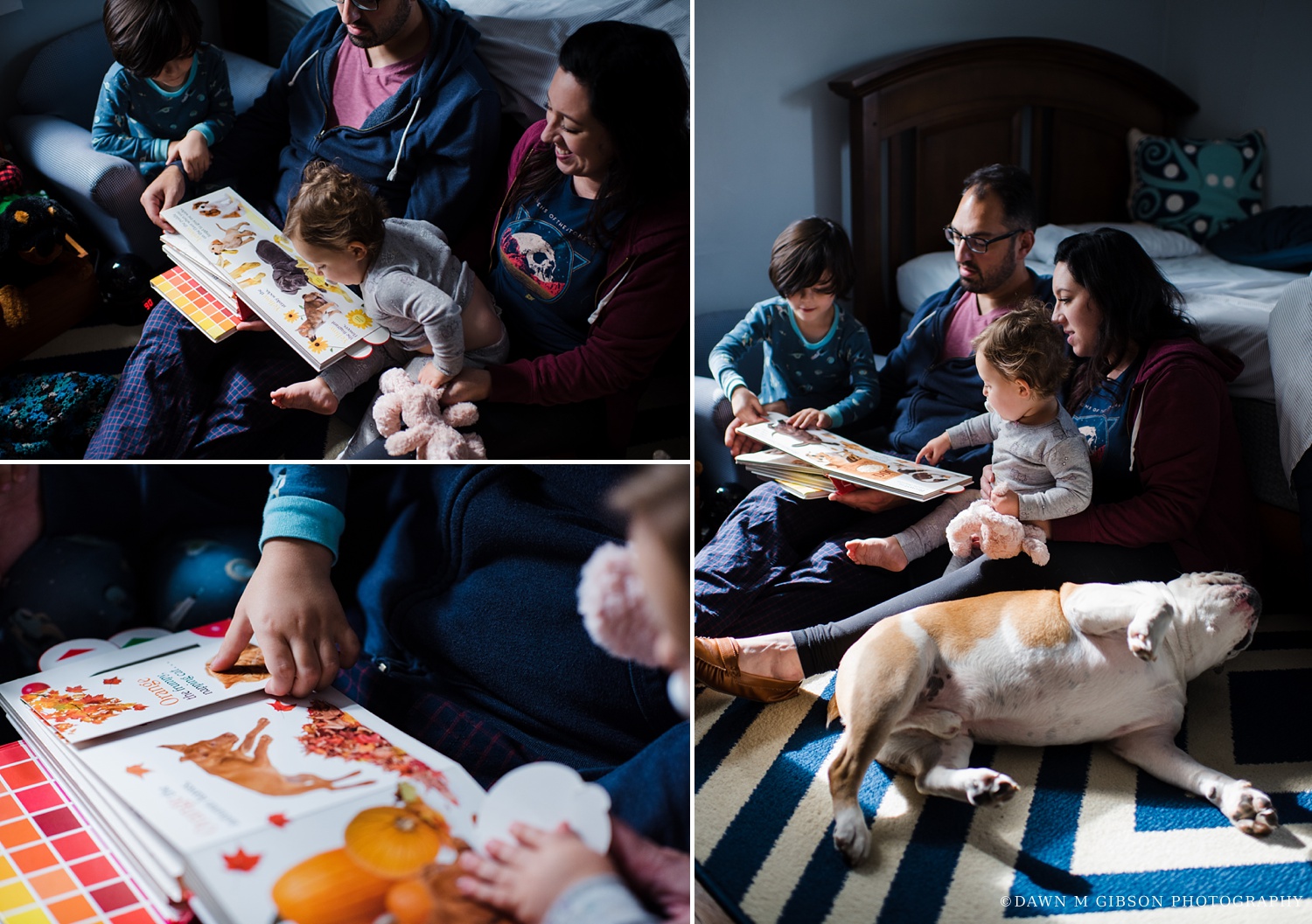 Pentheros Real Life Family Session 2018