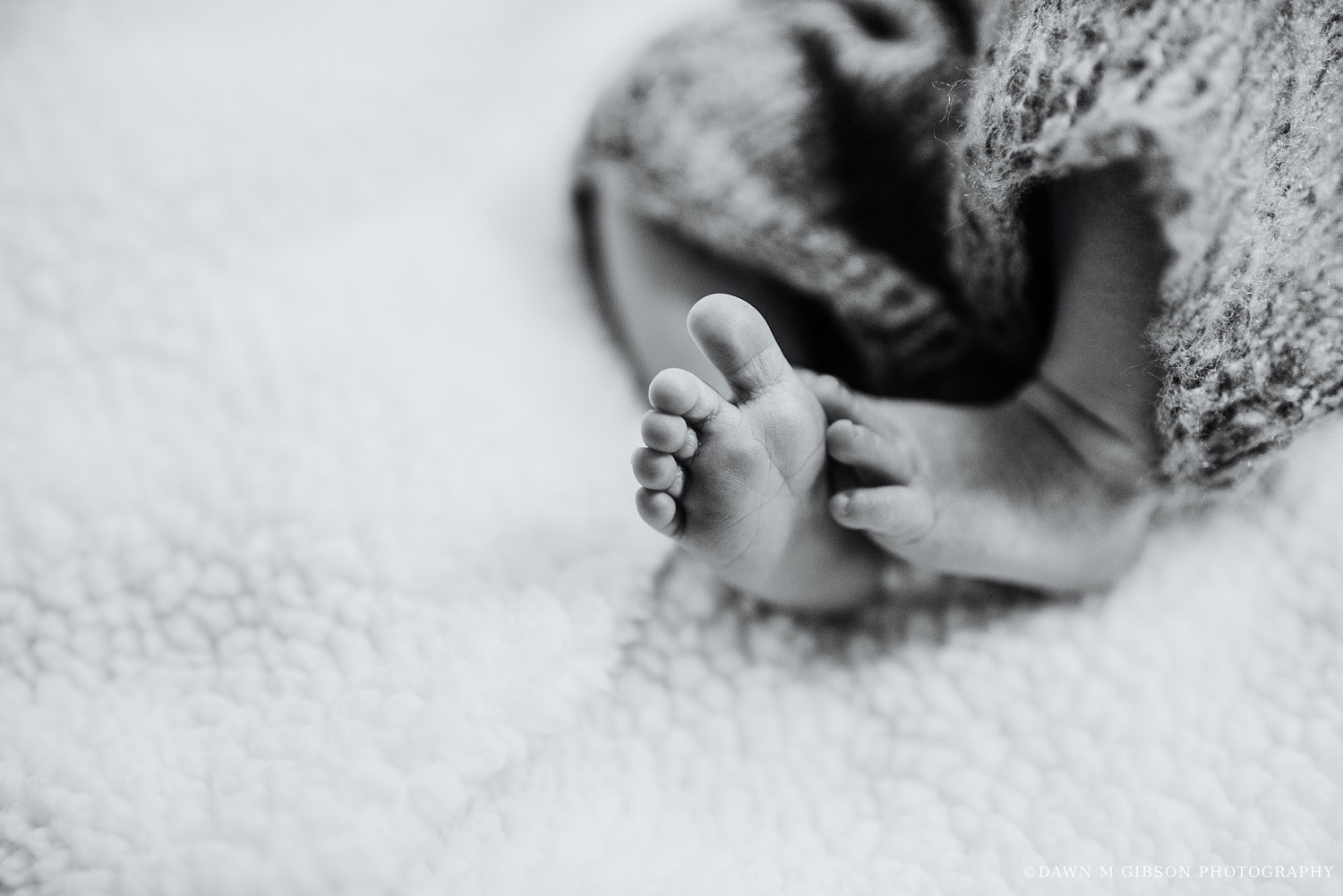 Finnegan Newborn