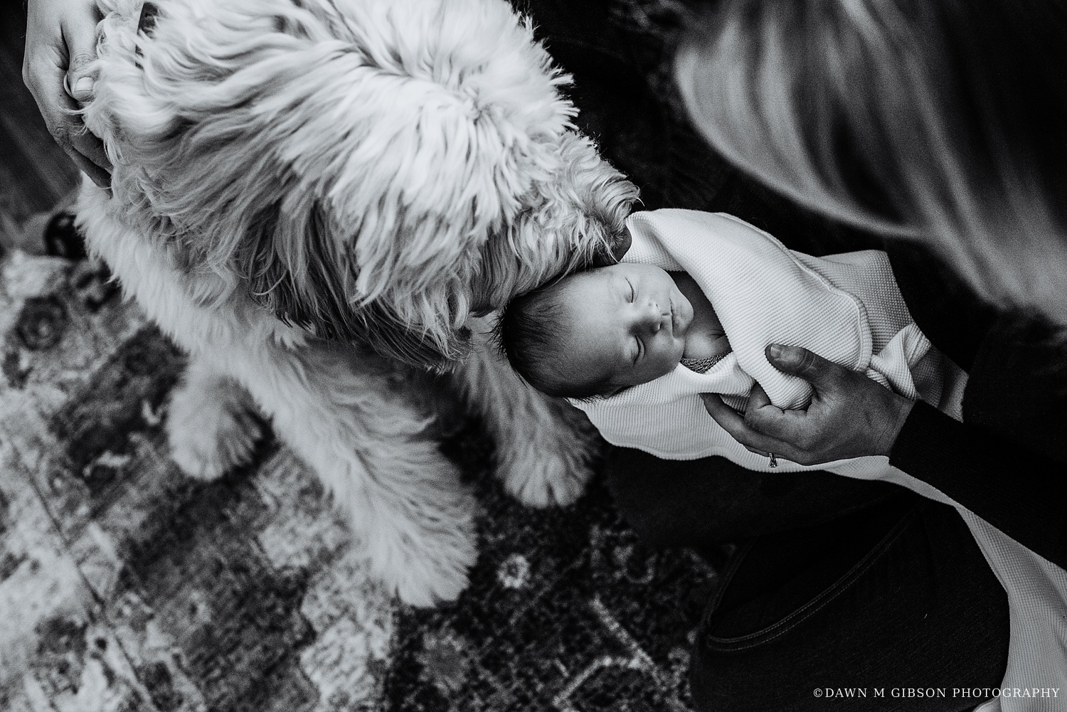 Finnegan Newborn