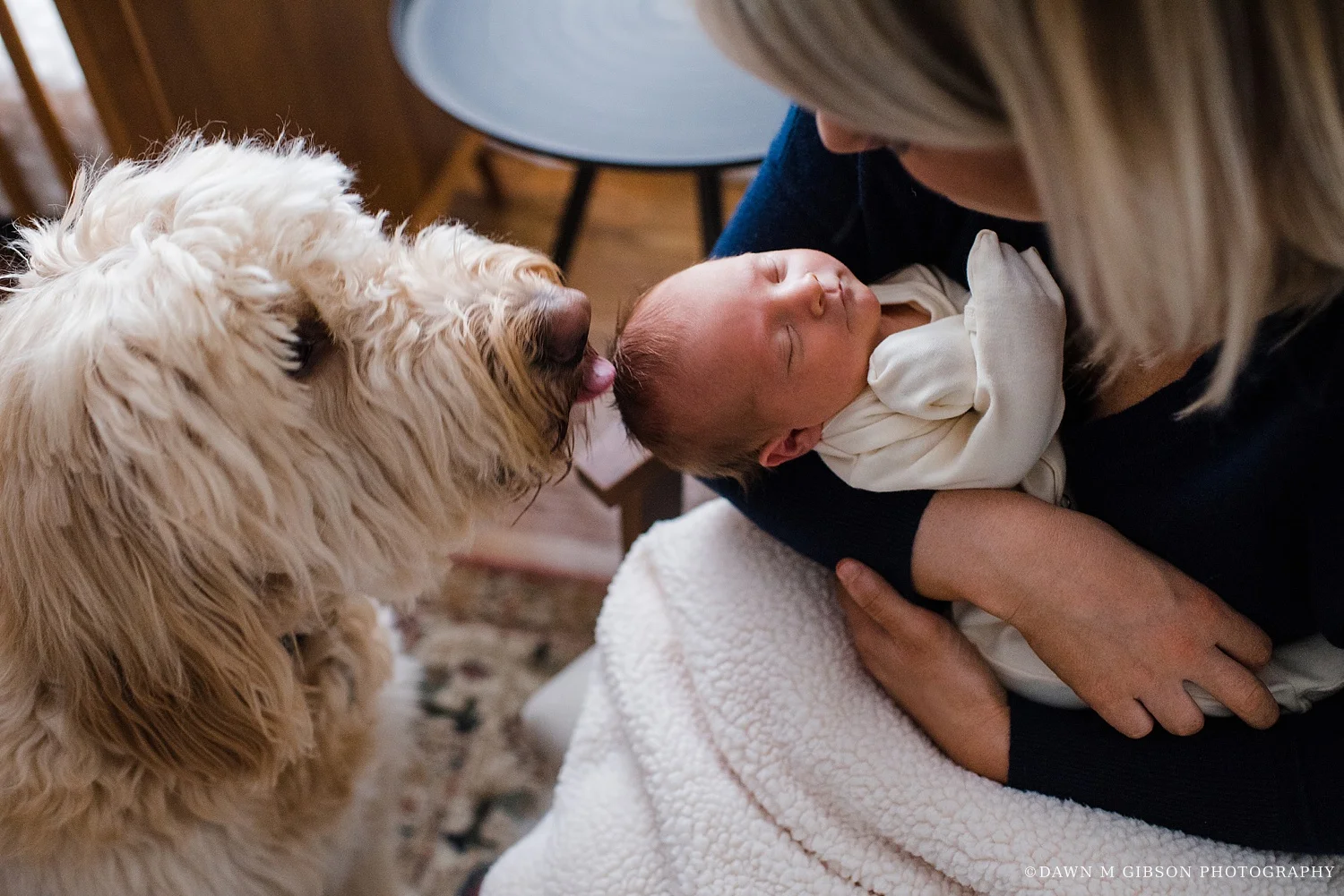 Finnegan Newborn