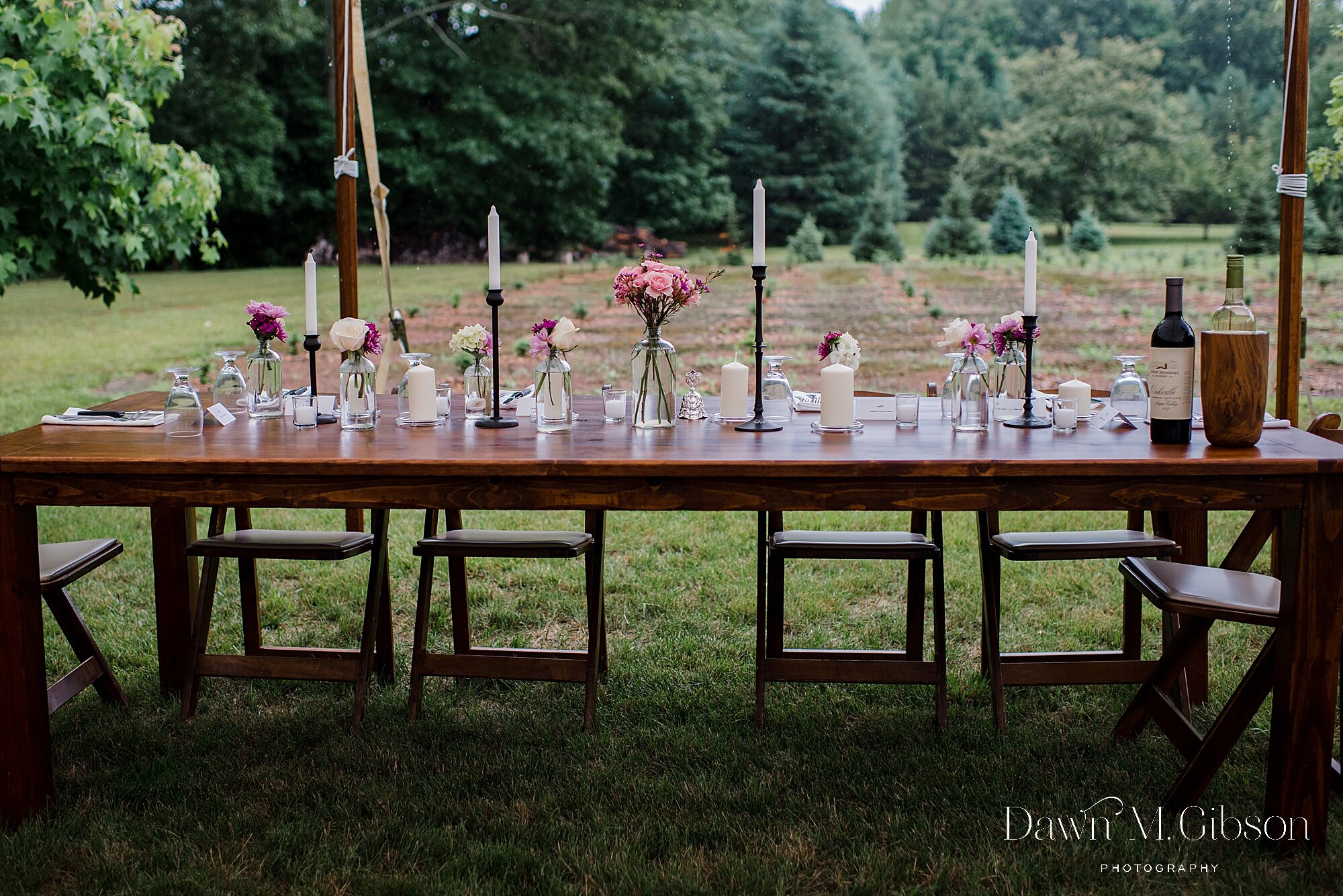 buffalo-new-york-wedding-photographer-backyard-wedding-ideas-dawnmgibsonphotography-emily-craig_0005.jpg