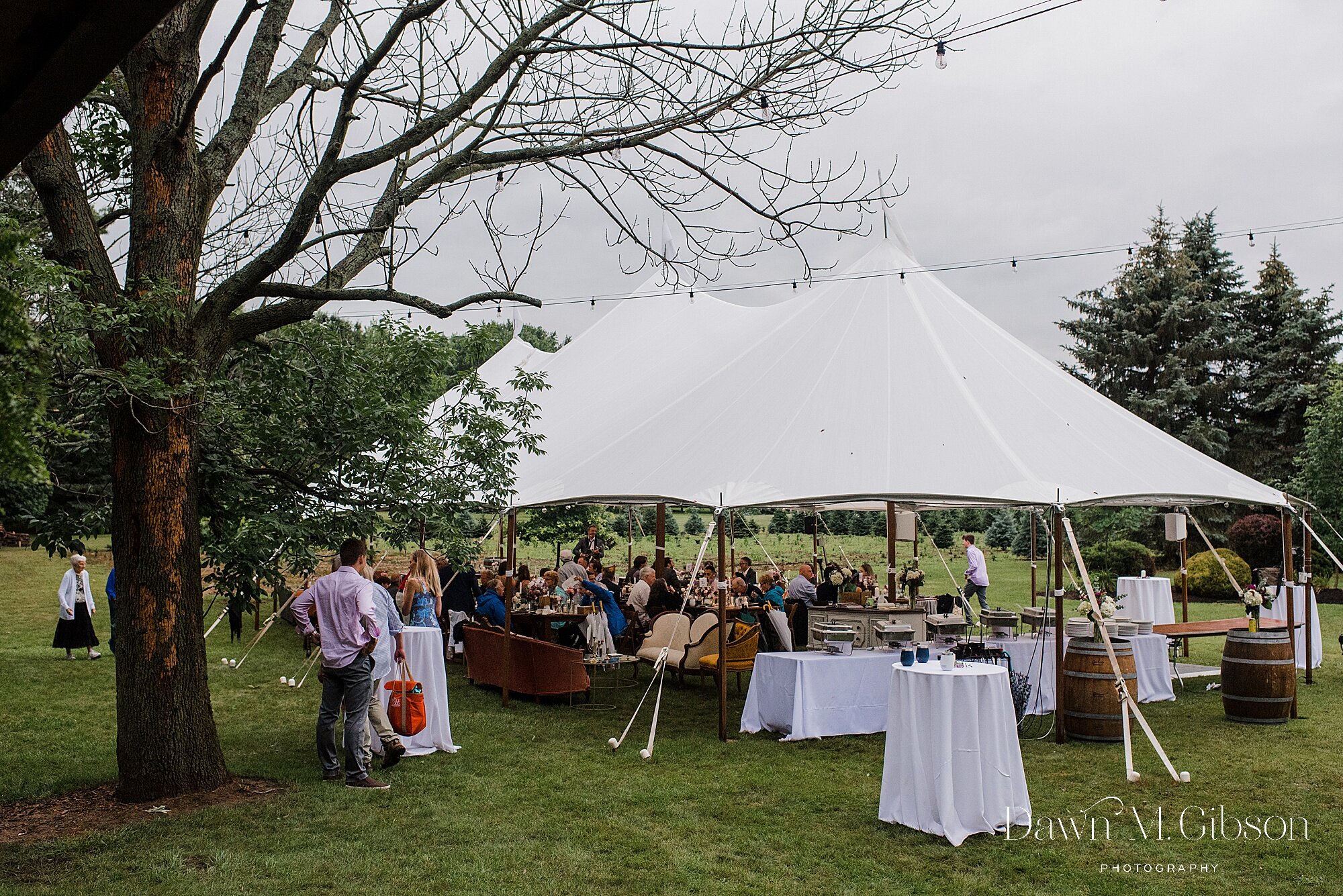 buffalo-new-york-wedding-photographer-backyard-wedding-ideas-dawnmgibsonphotography-emily-craig_0089.jpg