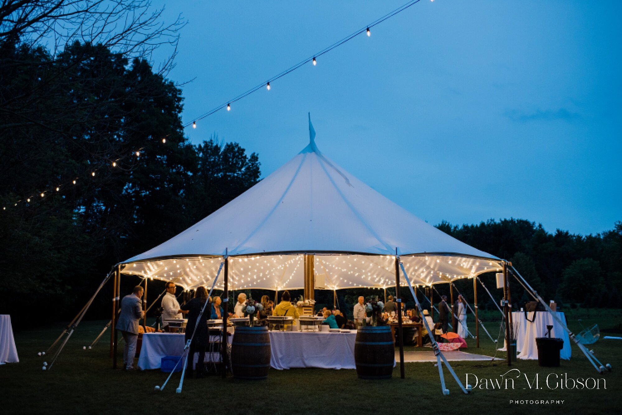 buffalo-new-york-wedding-photographer-backyard-wedding-ideas-dawnmgibsonphotography-emily-craig_0121.jpg