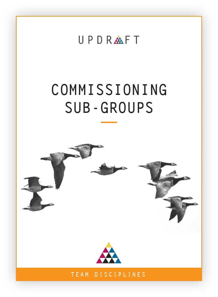 Commissioning Sub-Groups.jpg