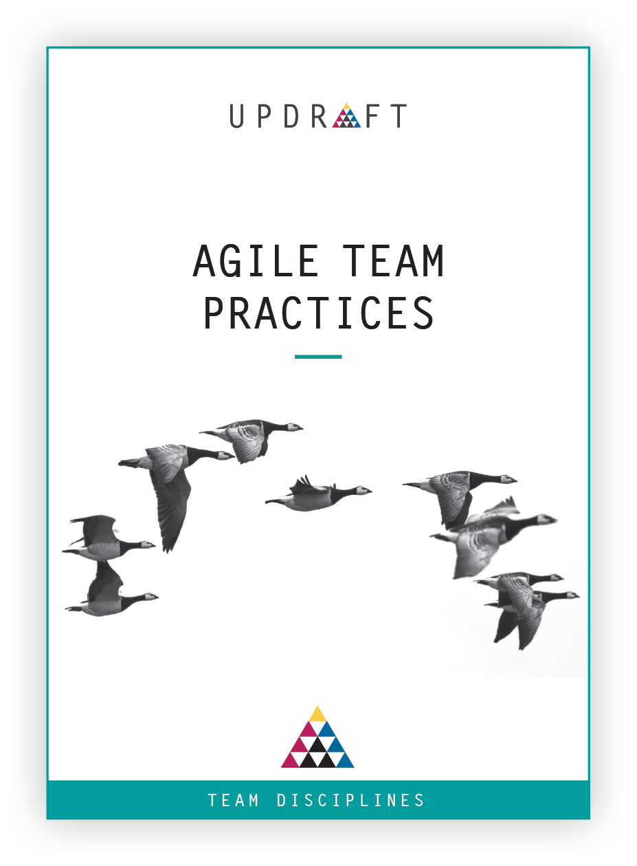 Team Discipline web image _002_one image.jpg