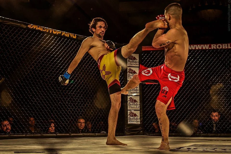 mma3.jpg
