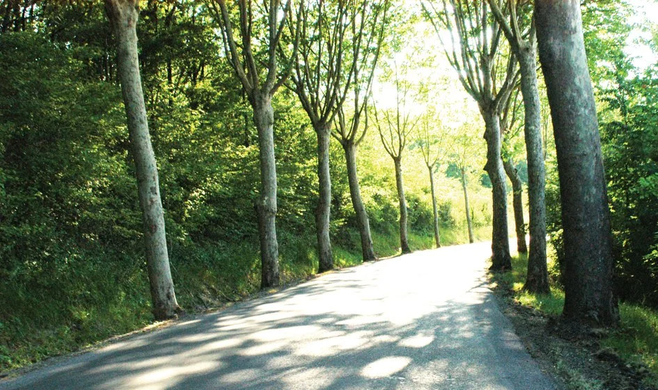 Road.jpg