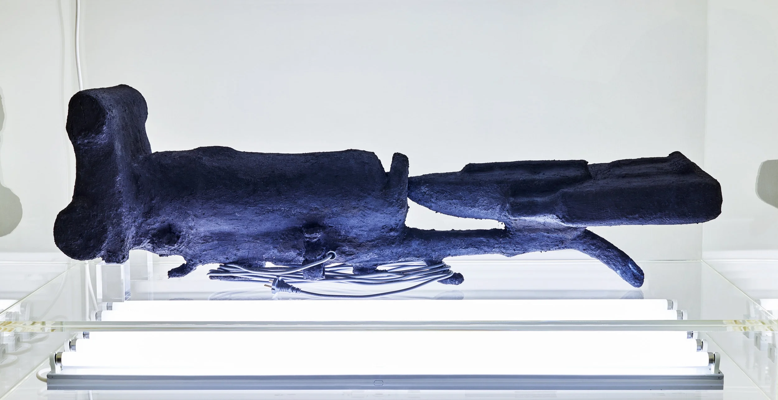 Michael-Mueller-Berlin-Galerie-du-Monde-Hong-Kong-Hoover.jpg