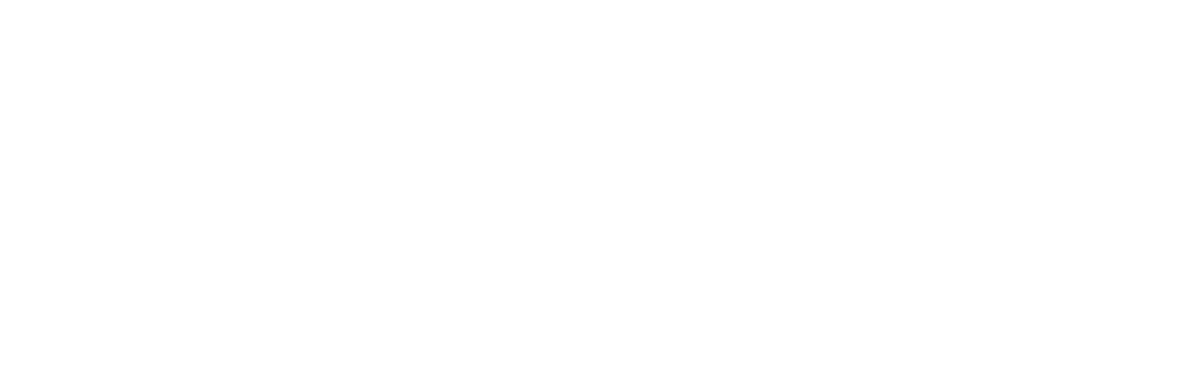 BERKLEY GROUP LOGO REVISED W.png