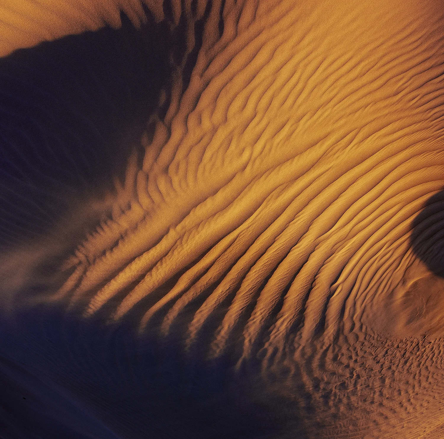 dune shapes colour.jpg