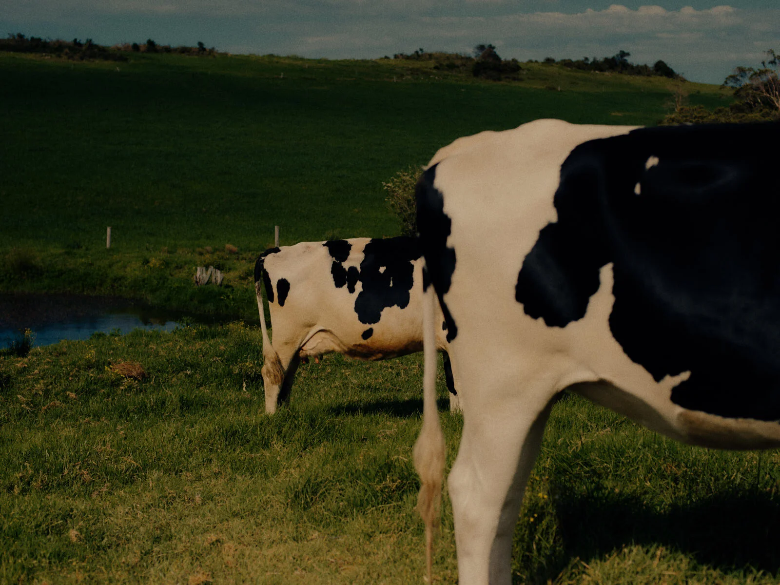 201021_Kiama_01_363.jpg