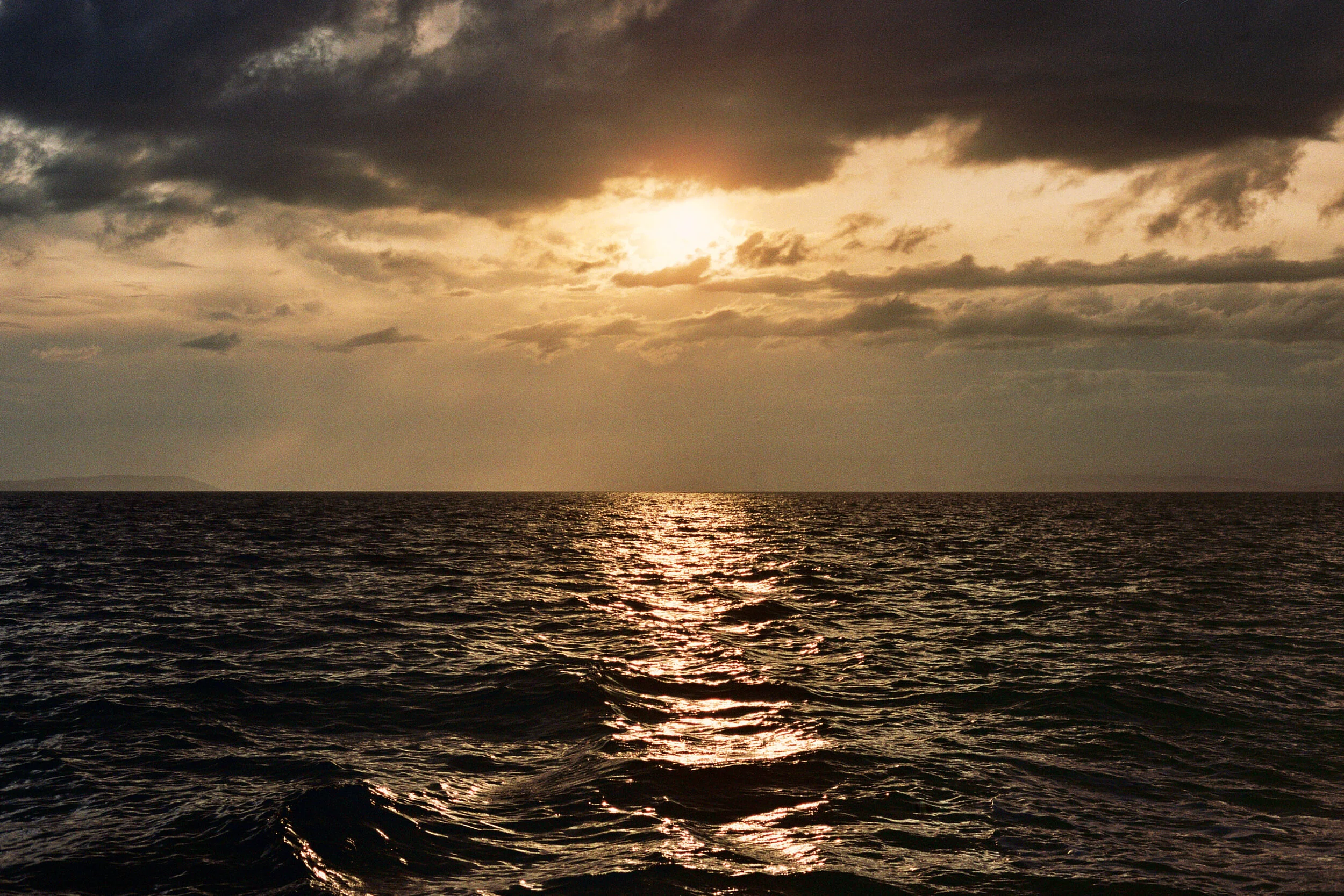 14A_03624 1.jpg