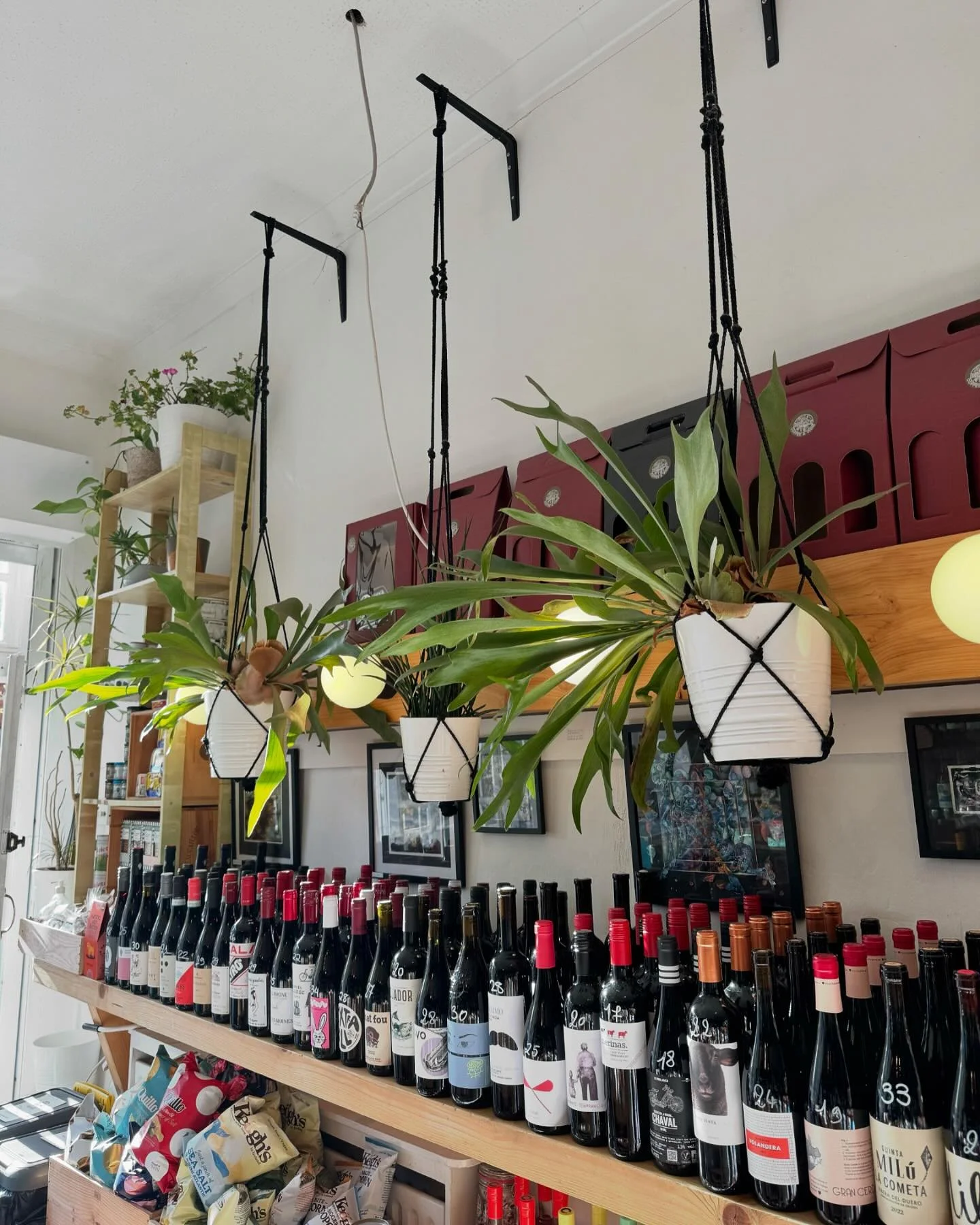 When the sun hits just right&hellip; 🌞🍷🌿 
Here til 8pm

#wednesdayvibes #wednesdaymood #wednesday #organicwine #supportlocal #sunnyday
