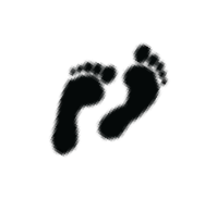 feet.png