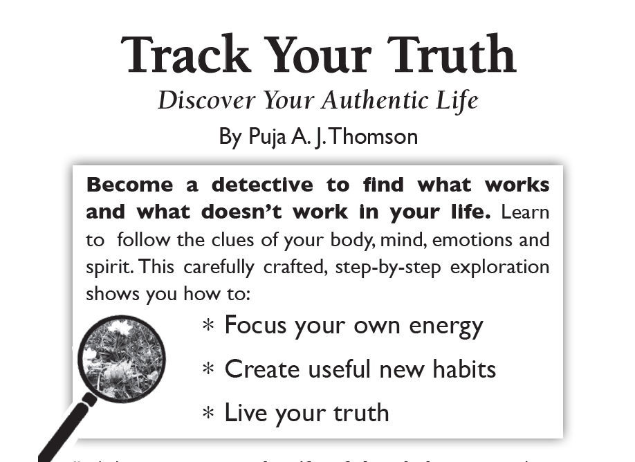 TYT Postcard back box image.png