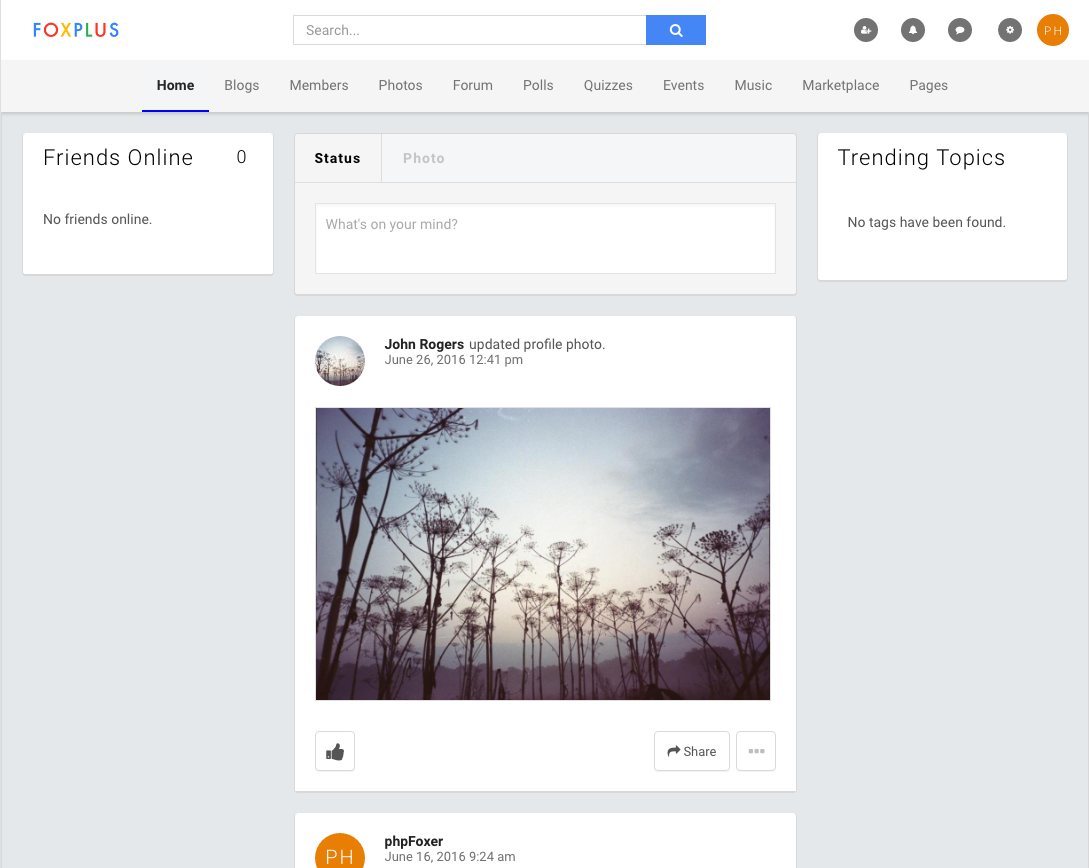 phpfox-theme.png
