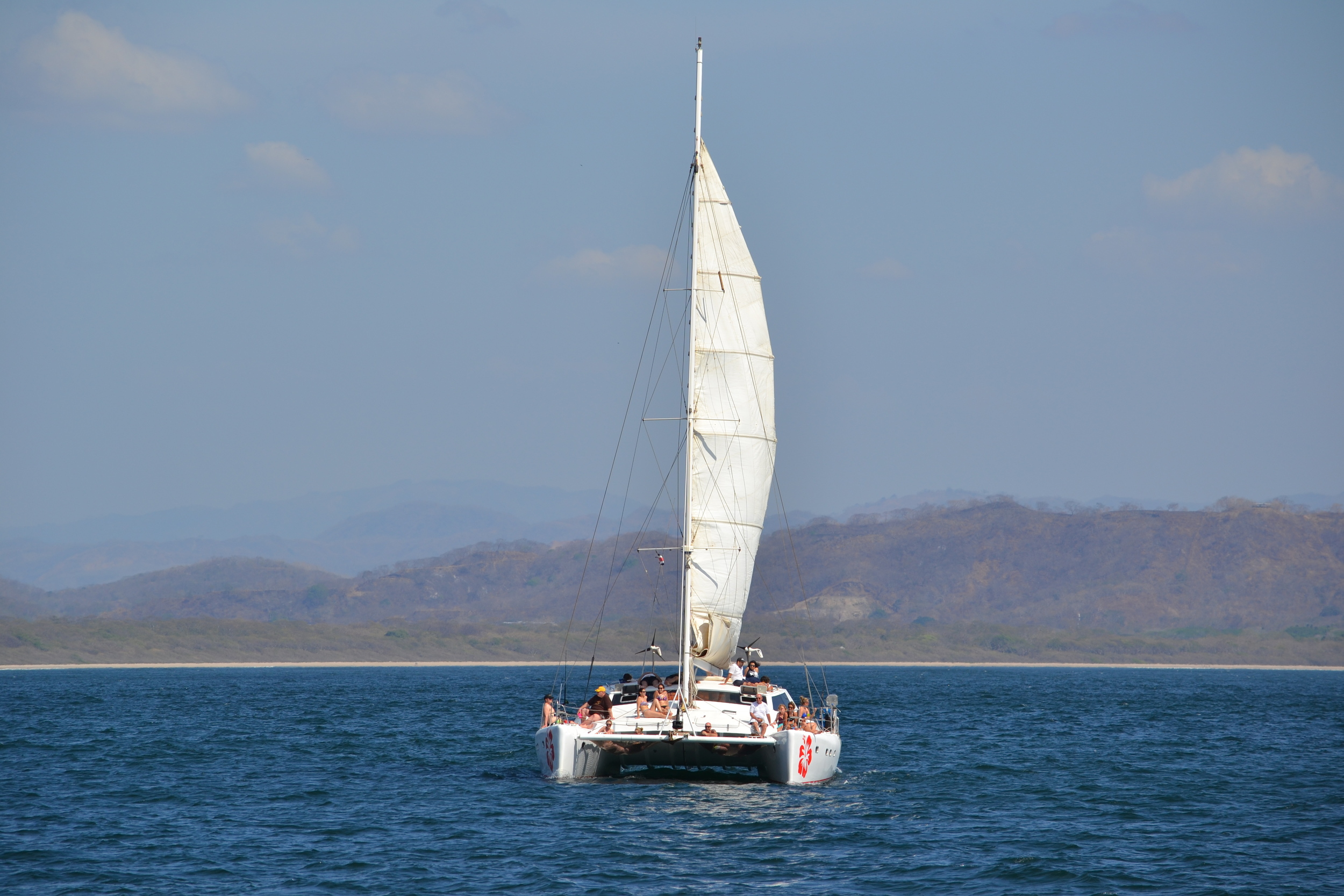 DSC_0863.jpg