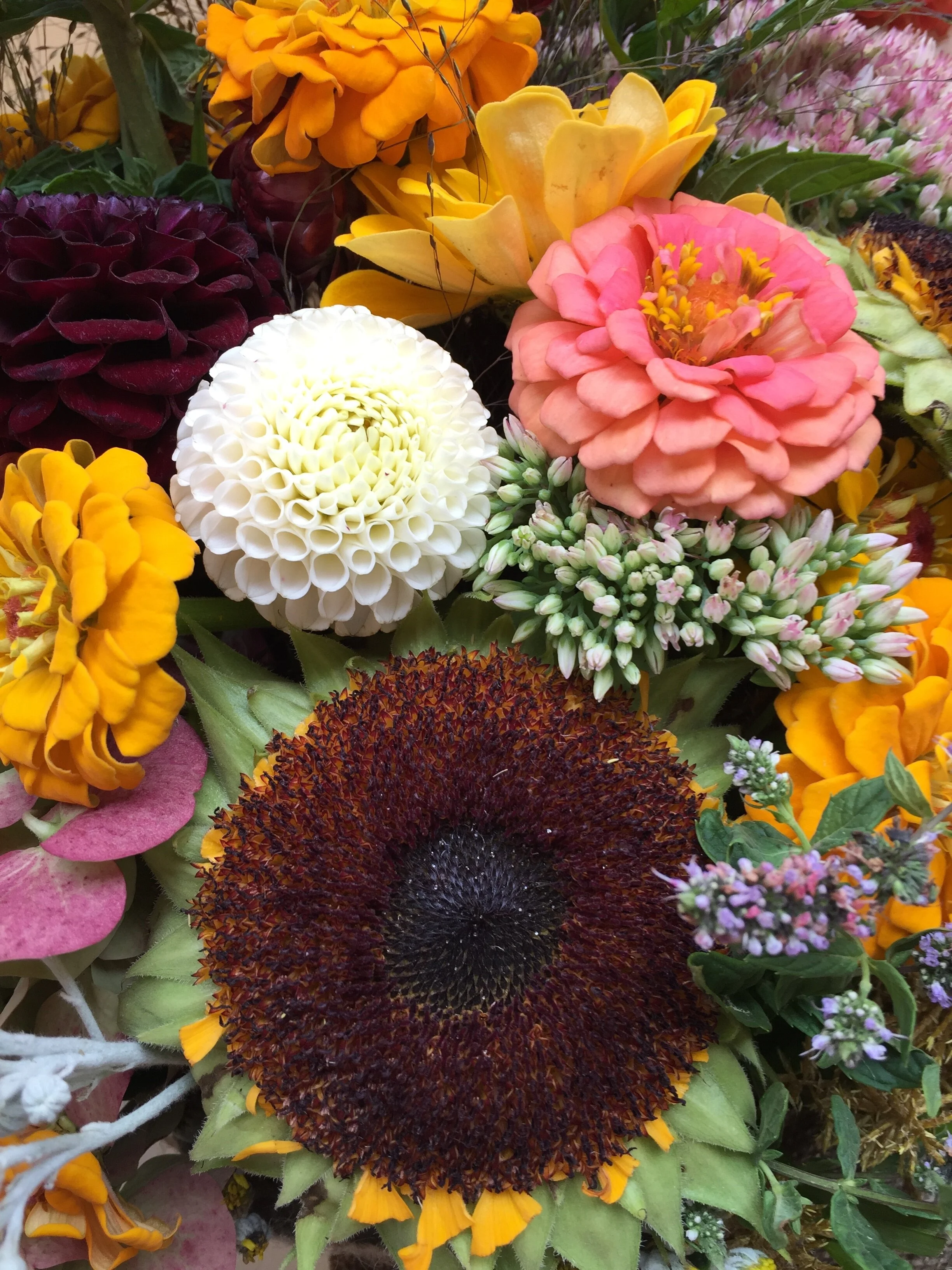 Autumn flower mix