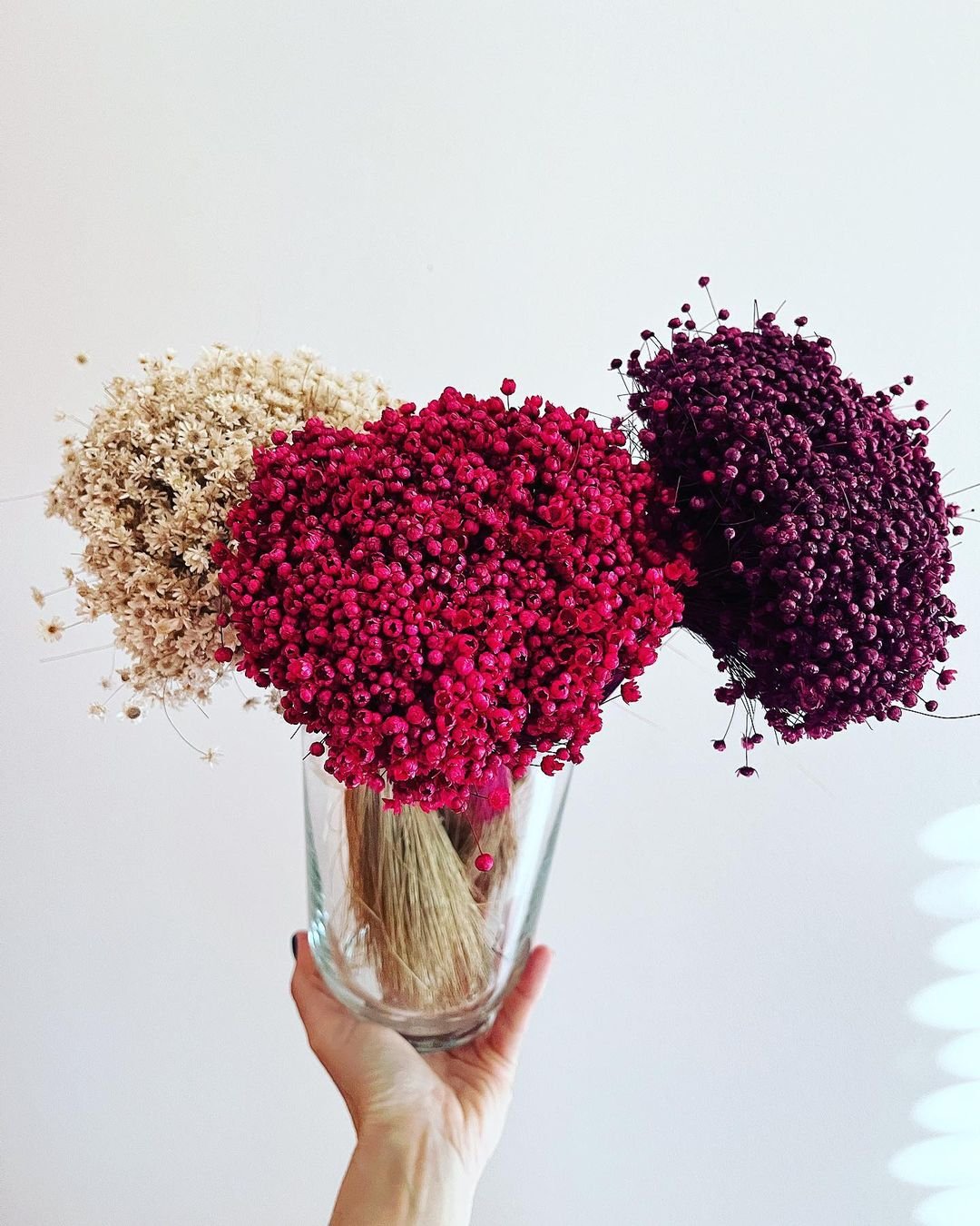 Dried flowers red white.jpg
