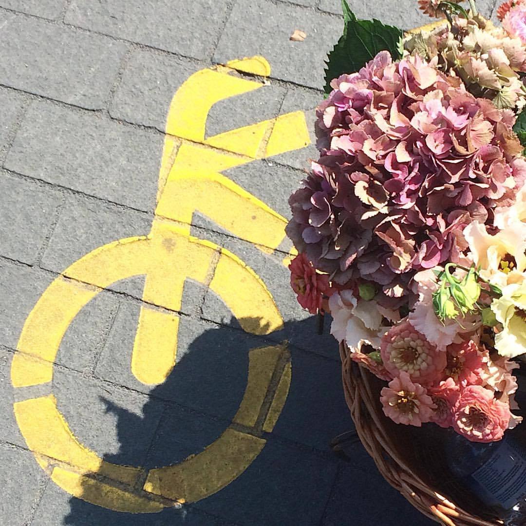 Bike and flowers Tiina.jpg