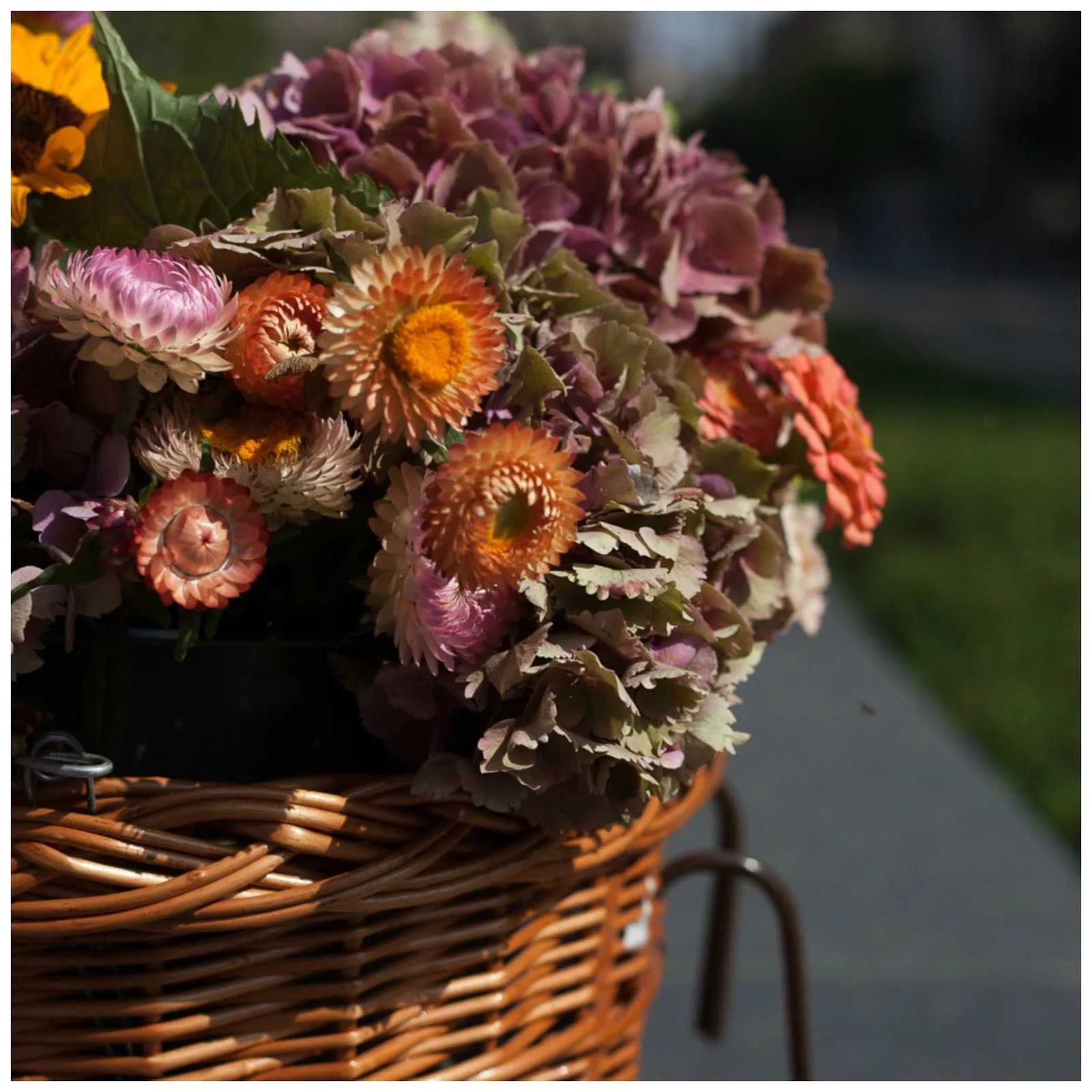 AUTUMN FLOWERS &.jpg