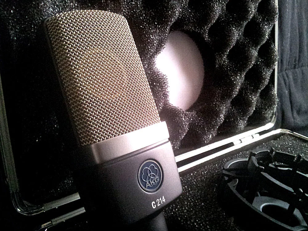 AKG C214 Large Diaphragm Condenser Microphone