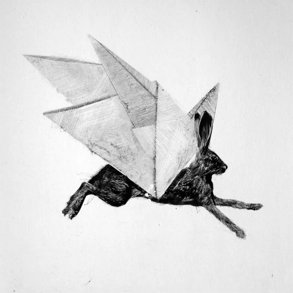 Origami Haas