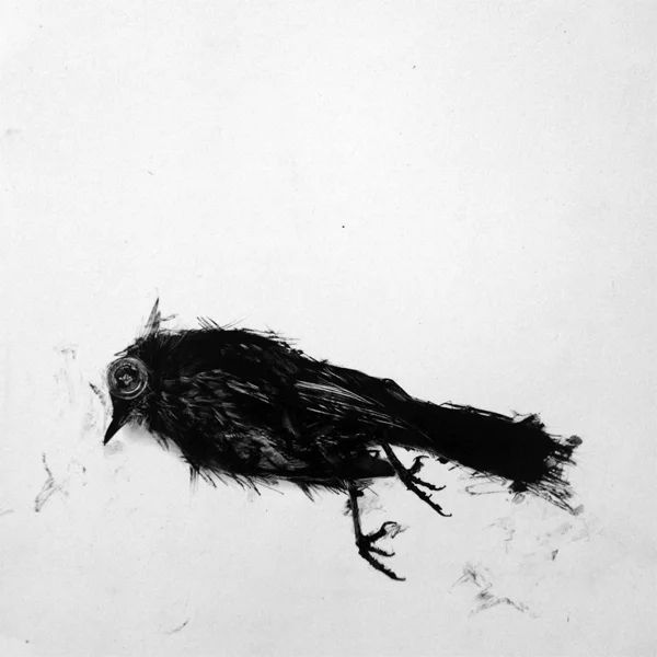 Boatman Bird #3