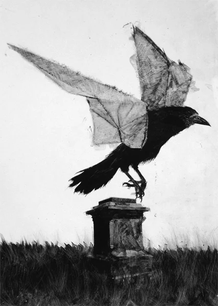 Retiring crow