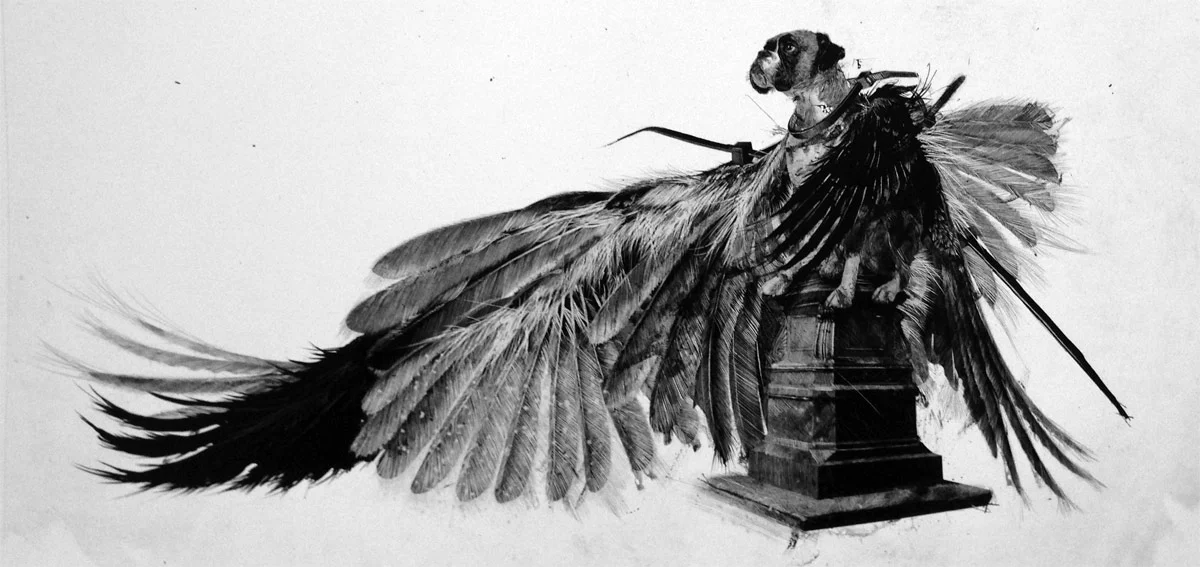Champion of the featherweights