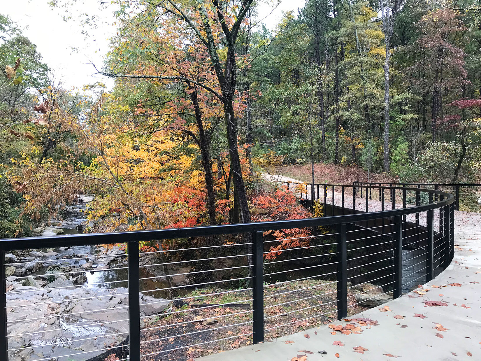  Bridge with fall color  