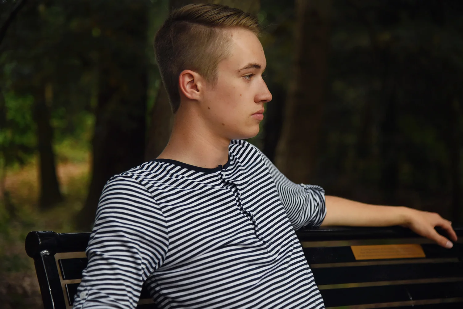 Black Bench in Woods.jpg