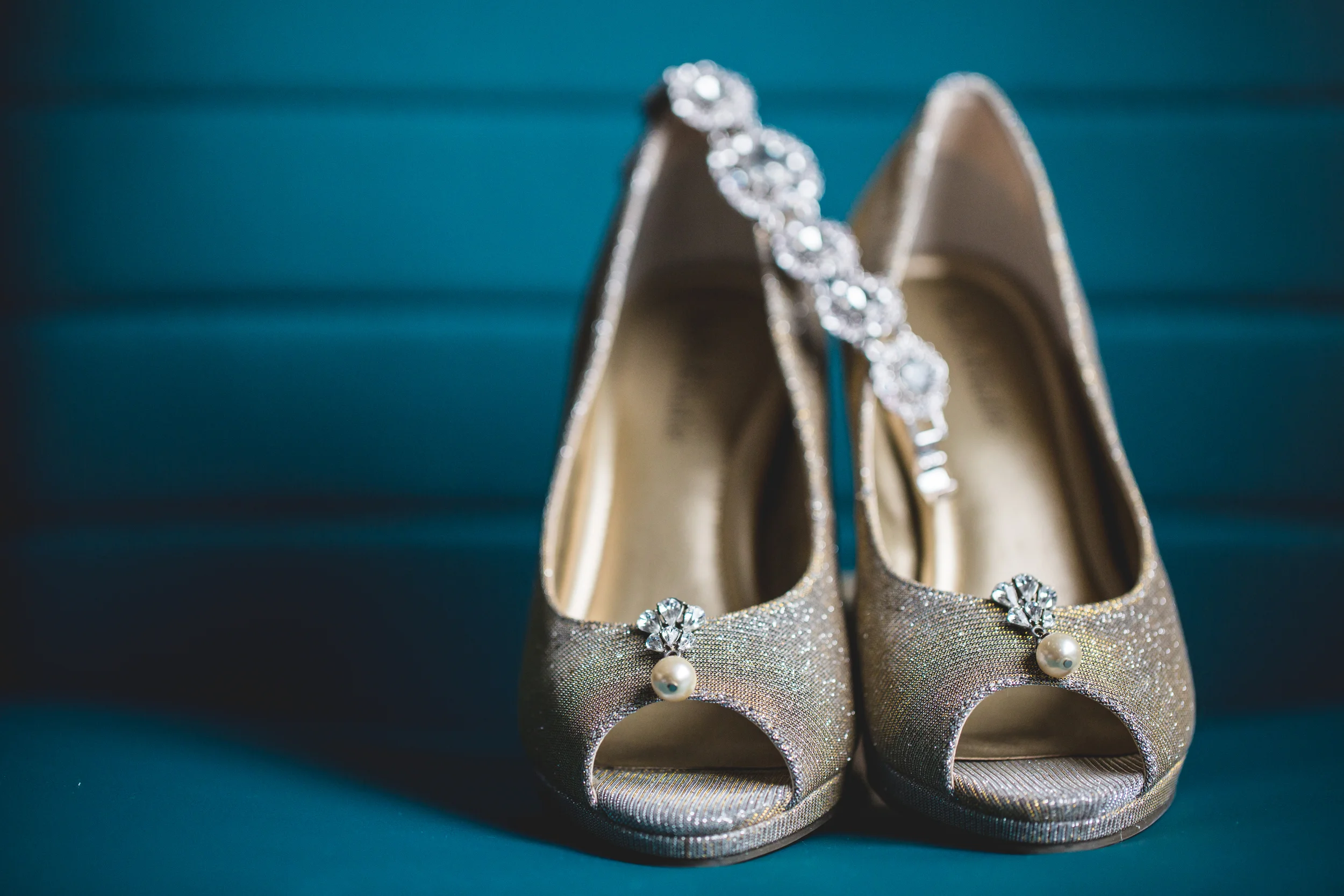 Janelle and Mike wedding at toms country place in cleveland ohio