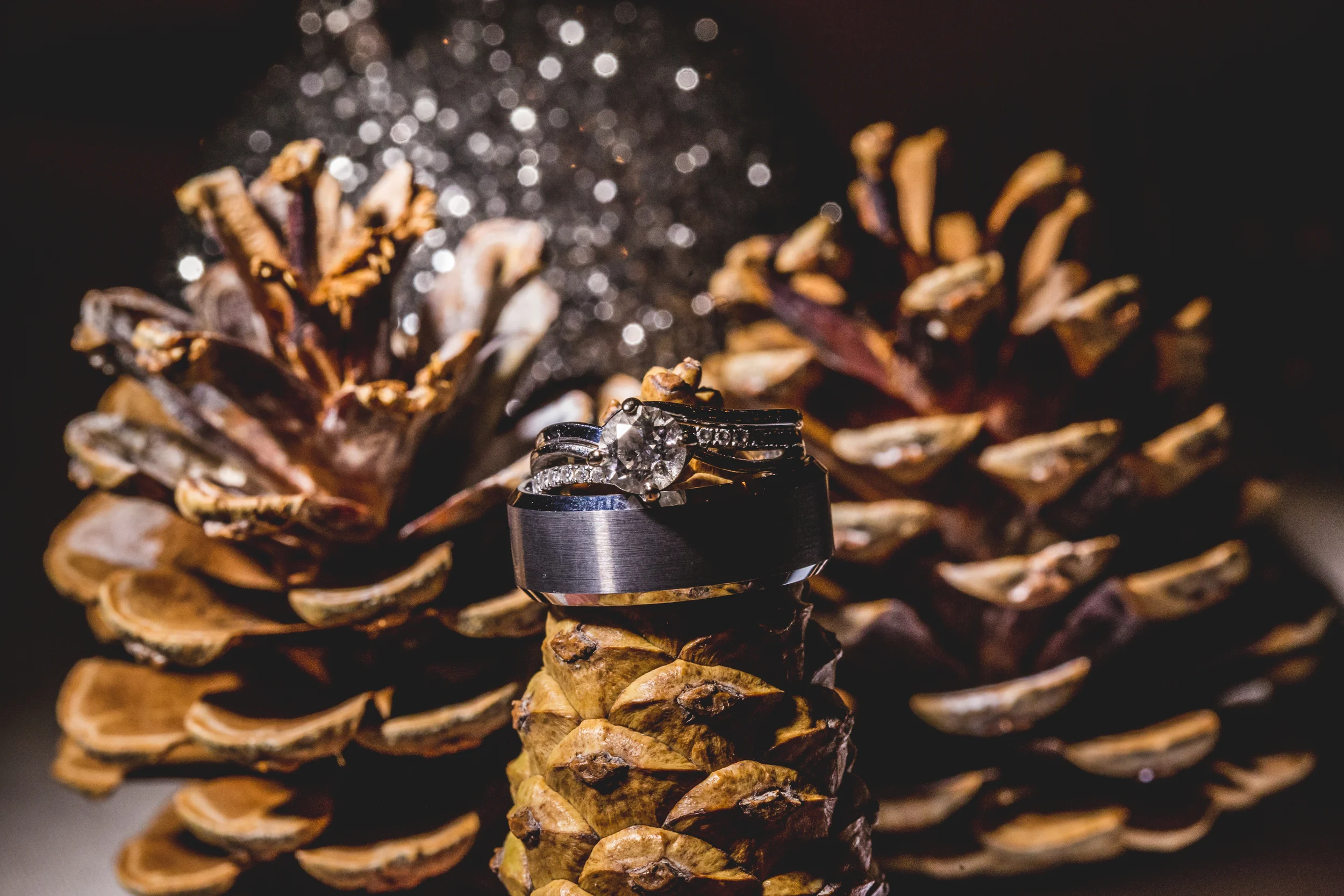 Janelle and Mike wedding at toms country place // cleveland wedding photographer