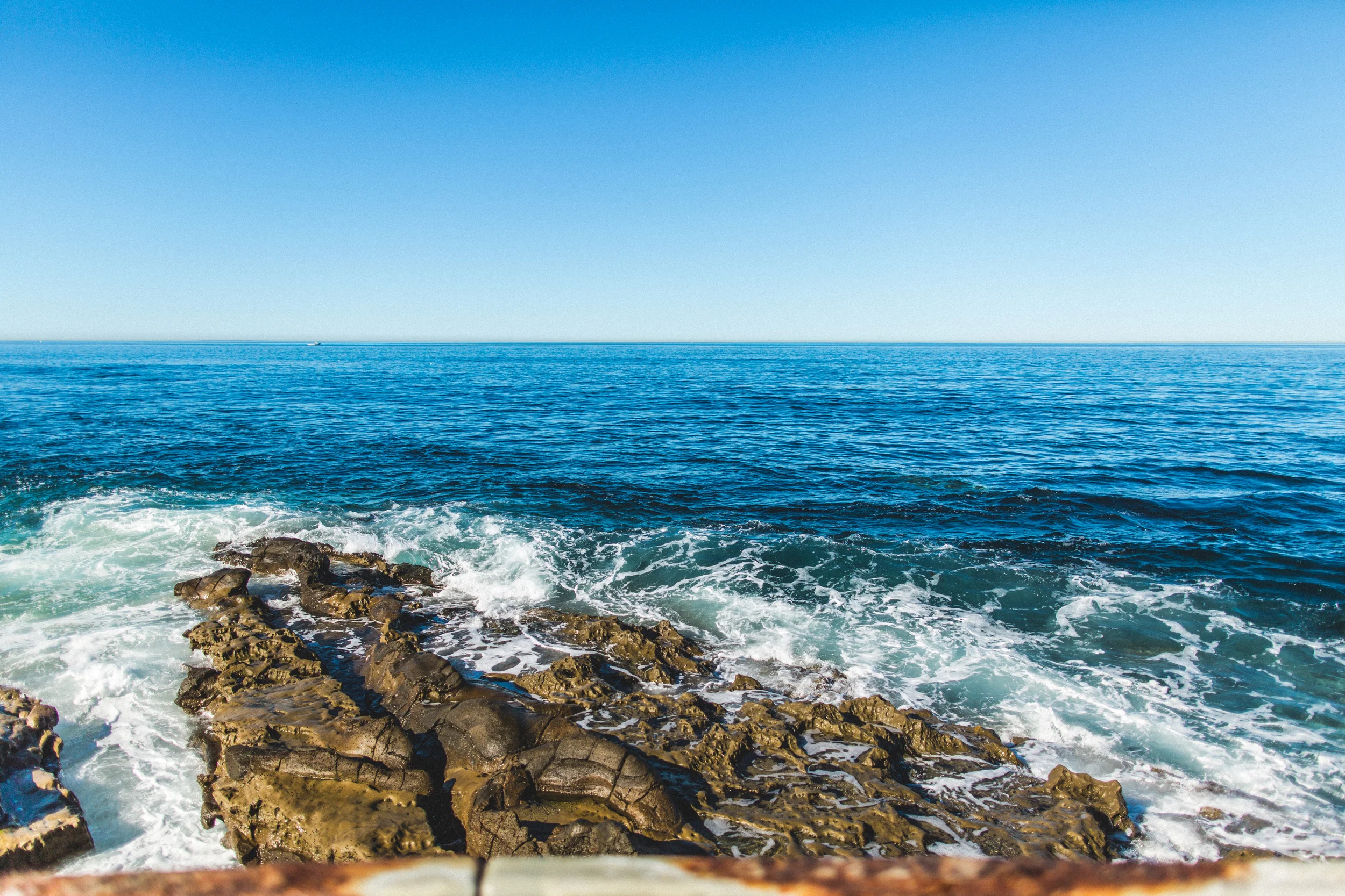 la jolla wedding photographer