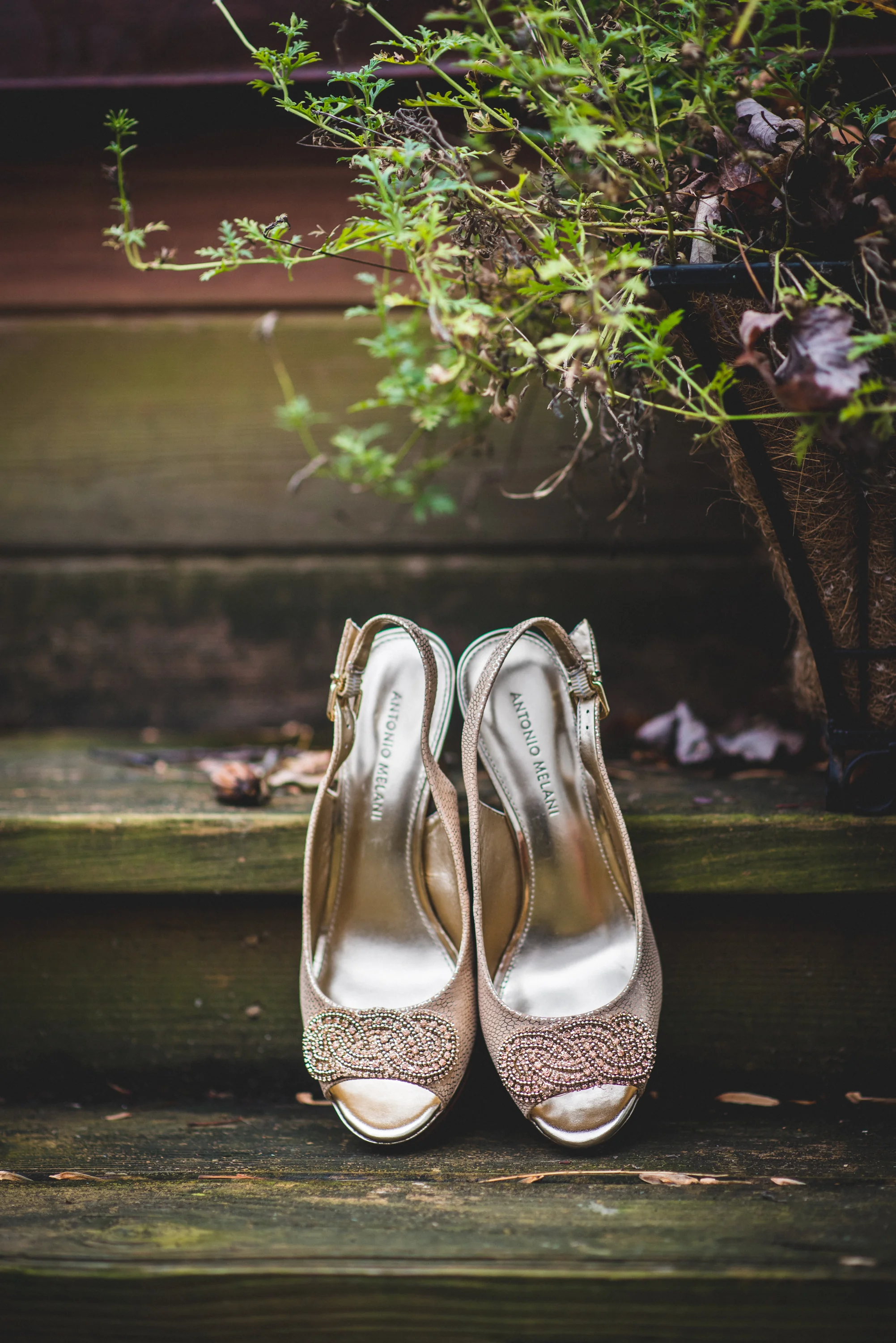 Wedding at City Hall in Cleveland Ohio | Stephanie + Rob