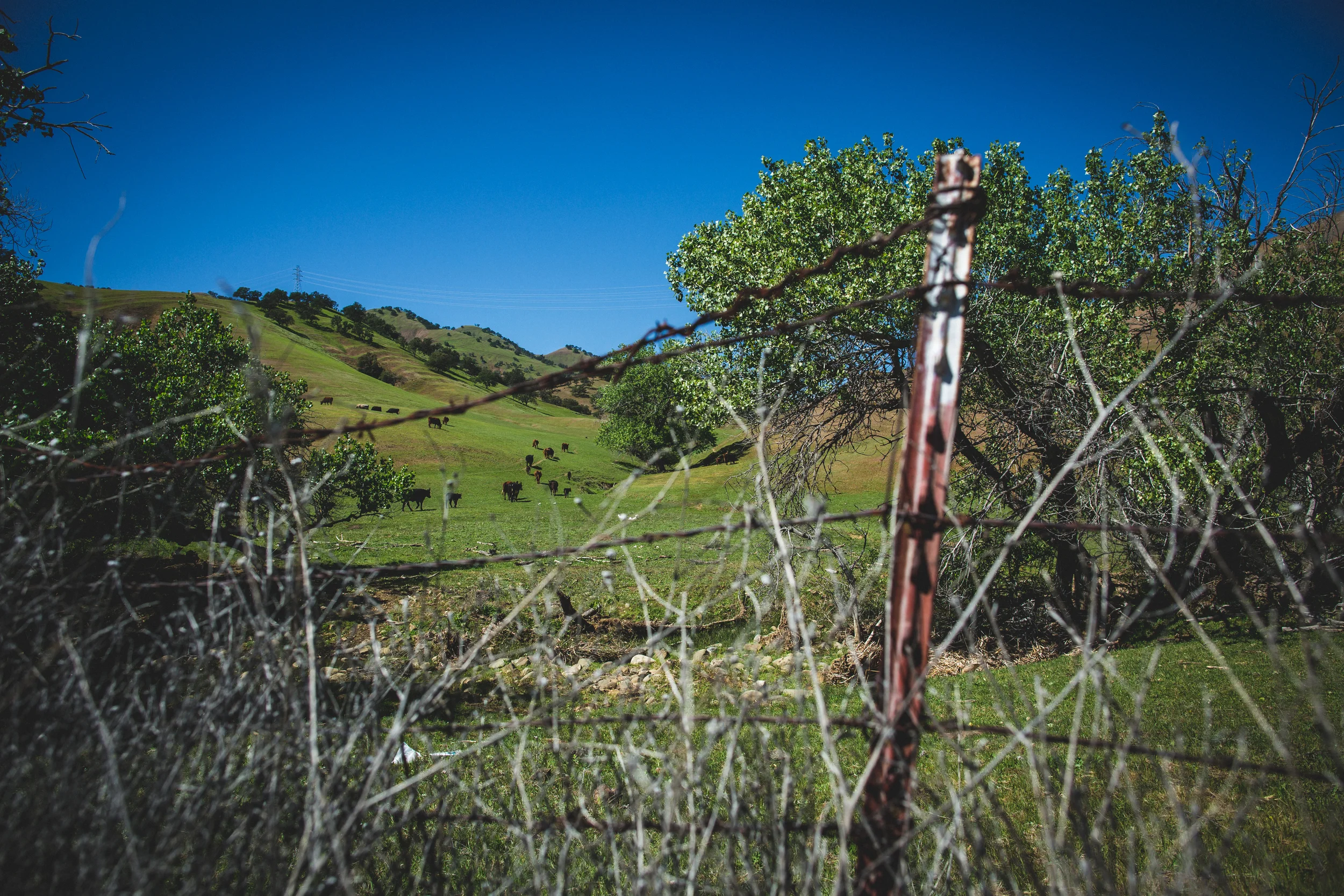 northern california road trip