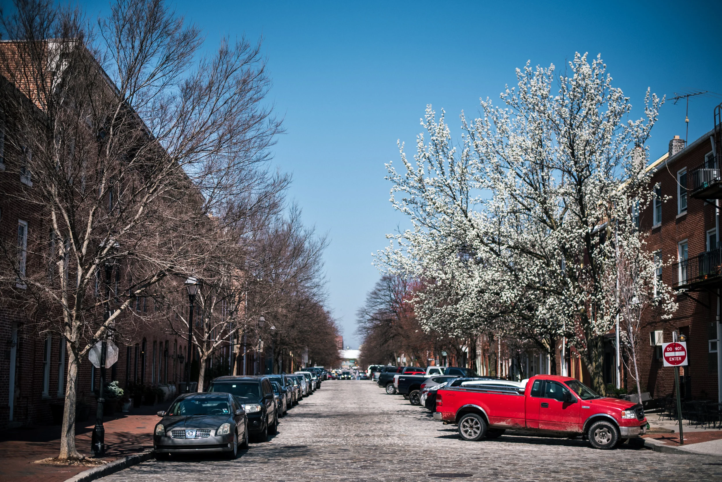 Baltimore photographers | Nick Plus Danée Family Trip