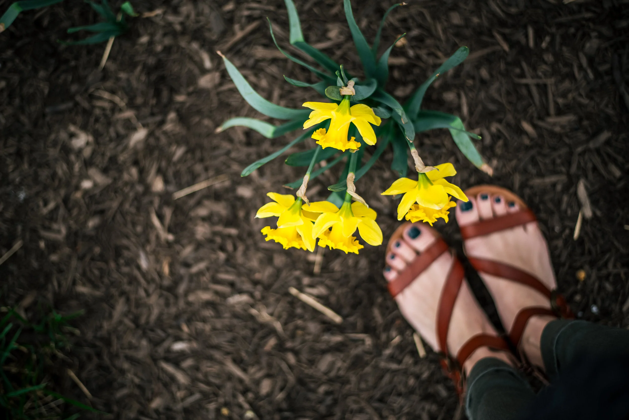 Baltimore photographers | Nick Plus Danée Family Trip