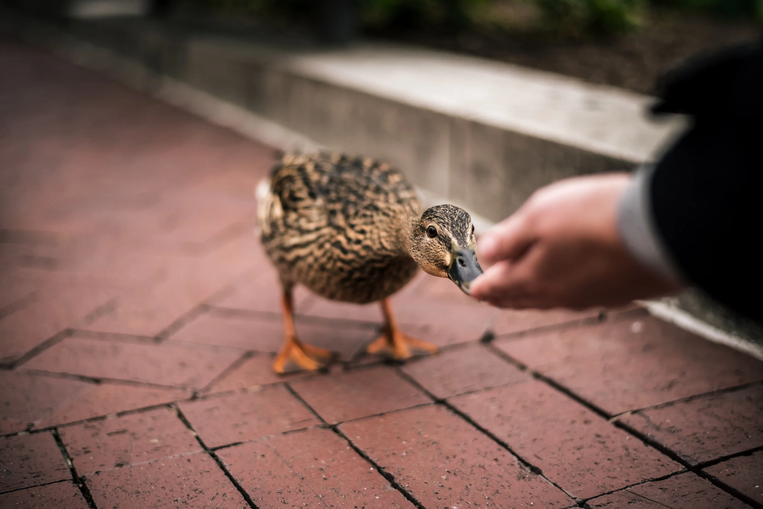 Baltimore photographers | Nick Plus Danée Family Trip