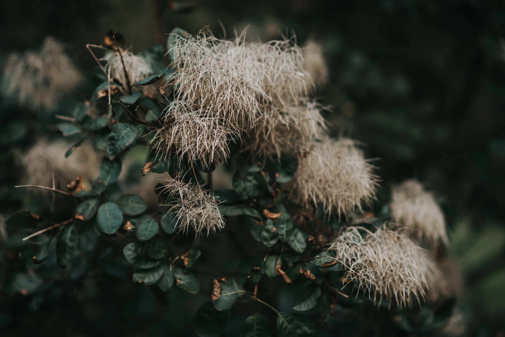 Elopement at The Club at Hillbrook in Chagrin Falls | Stacey + Sean