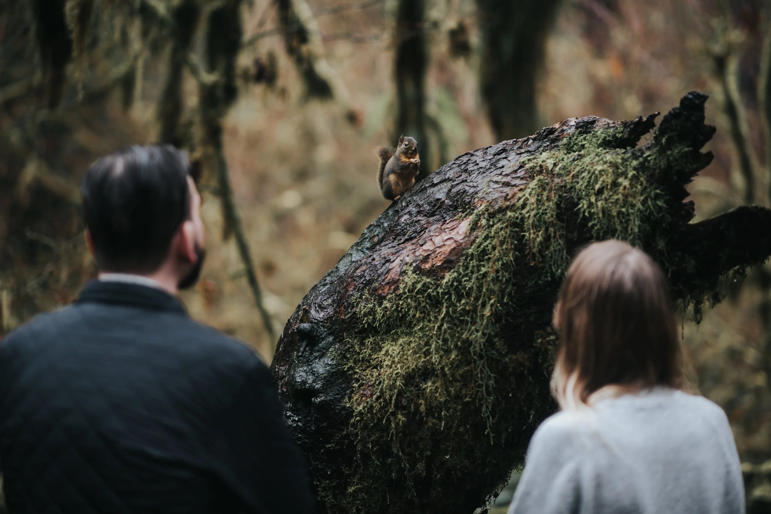 Engagement Session at the Hoh Rainforest in Washington | Katie + Matt
