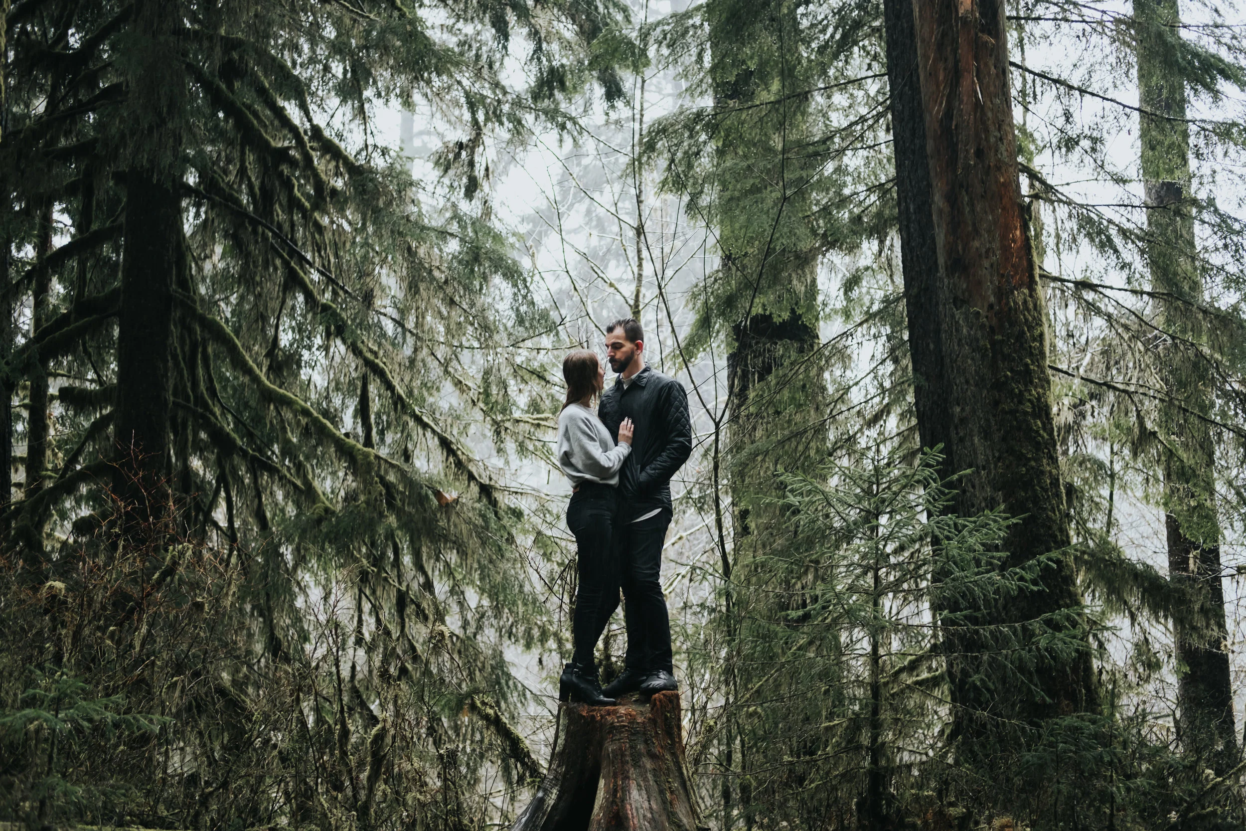 Engagement Session at the Hoh Rainforest in Washington | Katie + Matt