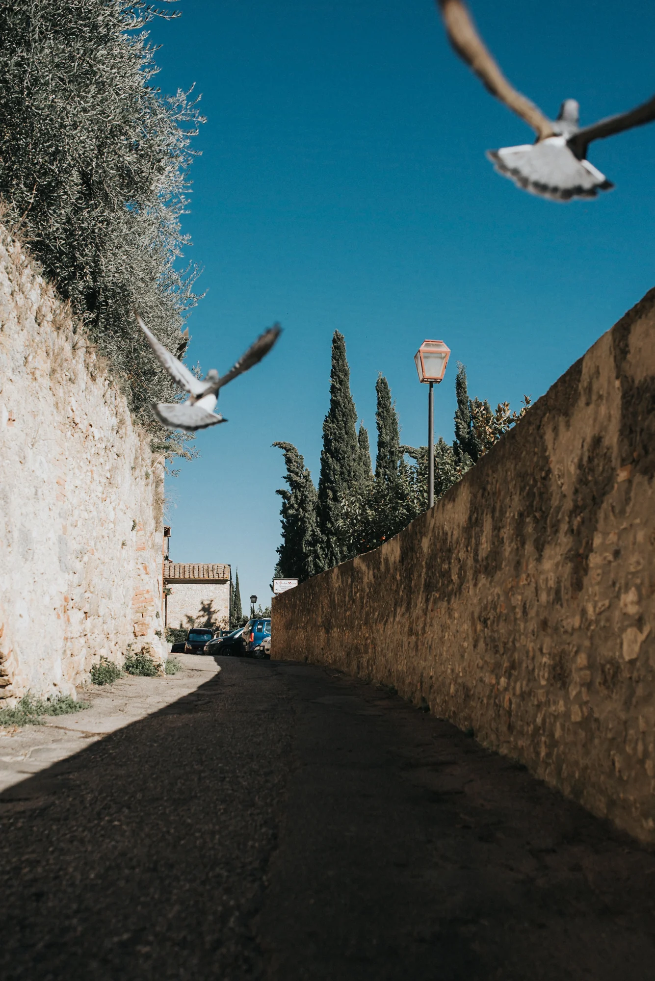 San Gimignano Italy Traveling wedding photographers