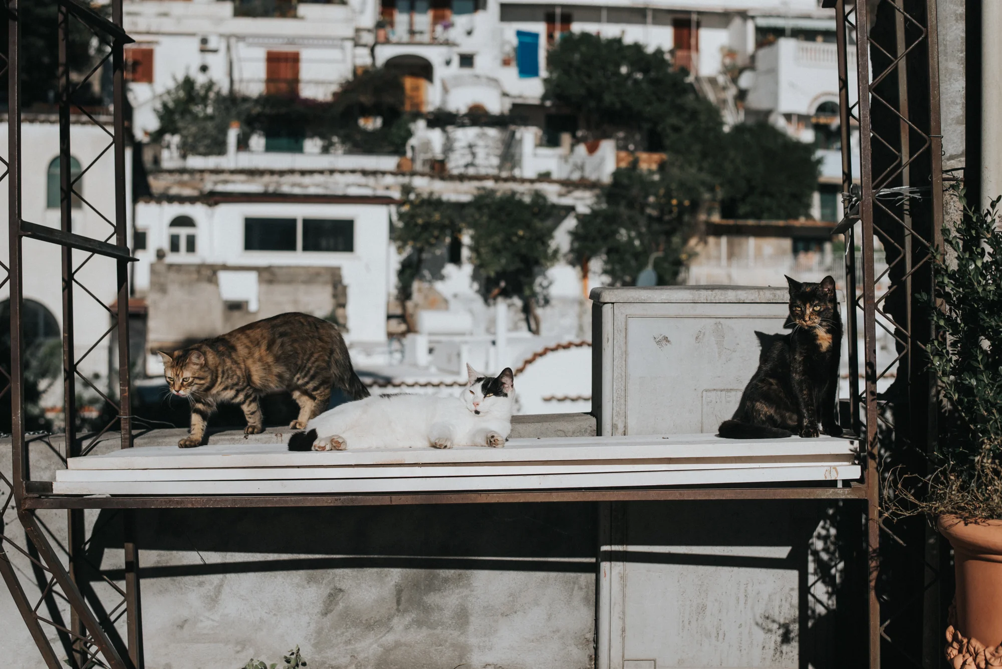 Backpacking trip to Positano Italy and Capri