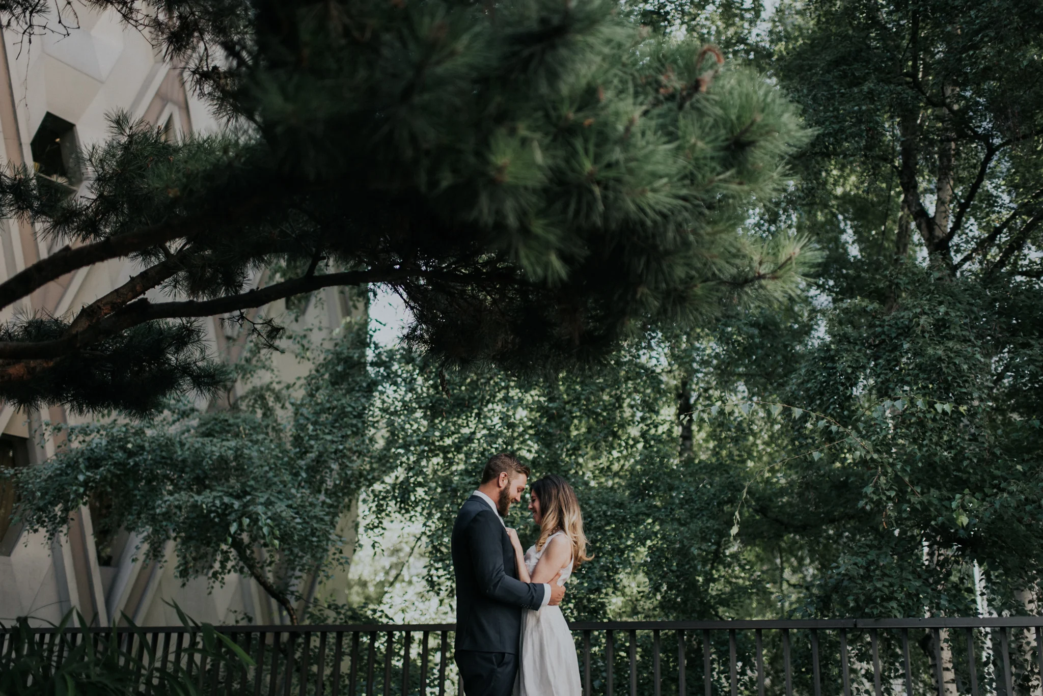 Courthouse Elopement In Downtown Seattle Washington | Taylor & David