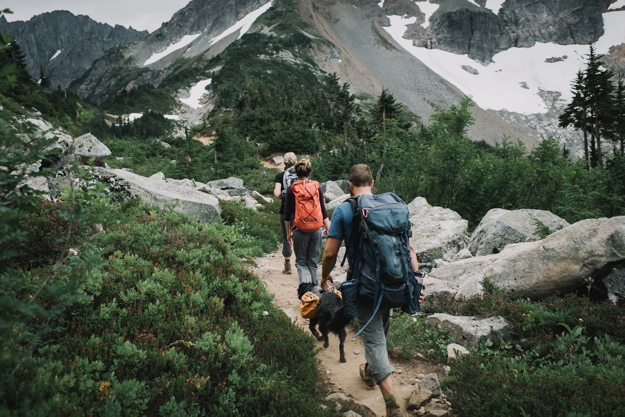 Sahale Arm Elopement In The North Cascades, Washington | Taylor & David